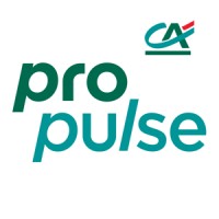 Propulse by CA logo - Similar company to Okali
