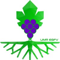 UMR EGFV Bordeaux logo - Similar company to Vitinnov