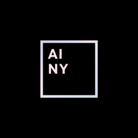 AI NY logo - Similar company to Ai Founders Connect - 501(C)(3)🎗