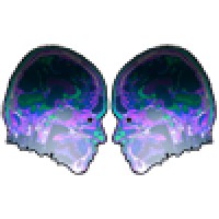 www.vitalinput.com