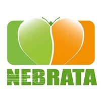 Nebrata logo - Similar company to 3Mi