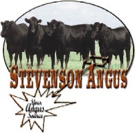 Stevenson Angus Ranch logo - Similar company to Champlain Valley Hops