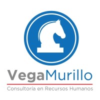 VM Consultores en Recursos Humanos logo - Similar company to Digital Hunter