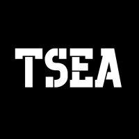 TSEA logo - Similar company to Bamac Corporativo