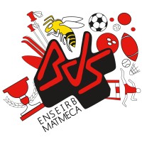 BDS Enseirb-Matmeca logo - Similar company to Forum Ingenib