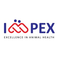 Impex Marketing Ltd. logo - Similar company to Vkasis Ltd