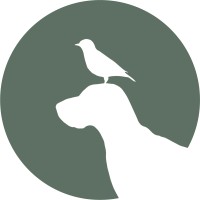 Bird Dog Agency logo - Similar company to Birddog Interactive