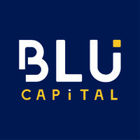 BLU Capital logo - Similar company to Blu Capital Partners