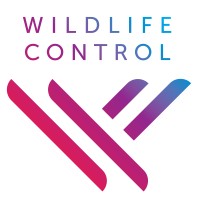 Wildlife Control logo - Similar company to Hypertattoo