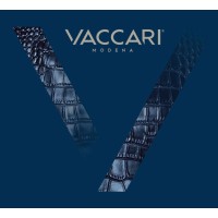 Pelletteria Vaccari Modena logo - Similar company to Les Bijoux S.R.L.
