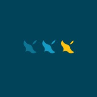 ducks in a row Life Coaching logo - Similar company to Peak Confidence Coaching