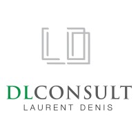 DL Consult logo - Similar company to Piccini Construction