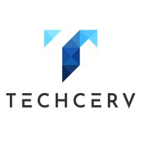 Techcerv logo - Similar company to Big Data Stuff