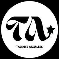 Talents Aiguilles logo - Similar company to Envie D'Sup