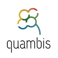 Quambis logo - Similar company to Msoft