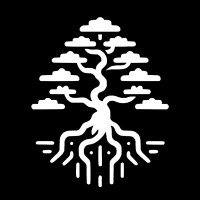 Bonsai Software logo - Similar company to Dzemo Studio