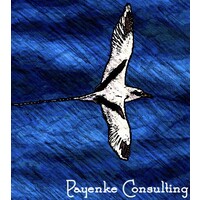 Payenke logo - Similar company to Beefirst Consulting