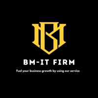 BM-IT FIRM logo - Similar company to Creative It Firm
