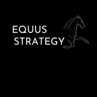 Equus Strategy Llc