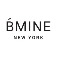 BMINE NEW YORK INC logo - Similar company to Visual Opinion