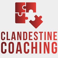 Clandestine Coaching Limited logo - Similar company to Leading Figures