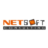 Netsoft Consulting
