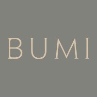 Bumi logo - Similar company to Bumi Foundation