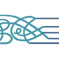 Concise Consulting Services, Llc