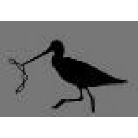 Kinnakeet Biotechnology Llc logo - Similar company to Tessarae