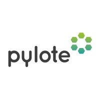 Pylote logo - Similar company to Braye