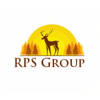 RPS Group Manpower & Placement Services logo - Similar company to Tds Placements & Services Pvt. Ltd.