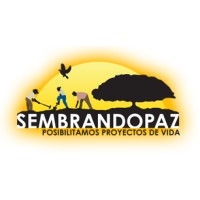 Sembrandopaz logo - Similar company to Fundación Proyecto Tití