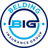 Belding Insurance Group logo - Similar company to Balser Wealth Management, Llc