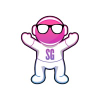 SkyGeeks - Instagram Growth logo - Similar company to Instagram For Real