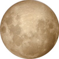 Wolf Media (Aust) logo - Similar company to Crewtraka