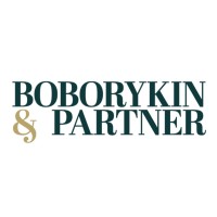 Boborykin & Partner logo - Similar company to Walter Partners Managementberatung Gmbh - Executive Consultants