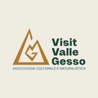 Visit Valle Gesso® logo - Similar company to Somewhere Studio