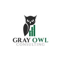 Gray Owl Consulting logo - Similar company to Virtual Cfo Solution