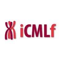 International CML Foundation logo - Similar company to Cml Advocates Network