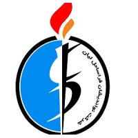 LOICO (Lian Offshore Intelligent Company) logo - Similar company to Elnav’S Engineering Limited