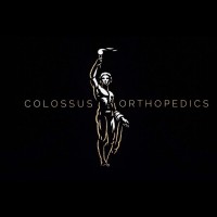 Colossus Orthopedics logo - Similar company to G R Bioure Surgical System Pvt. Ltd.