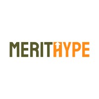 Merithype Media Agency Private Limited logo - Similar company to Analog Media - 360° Digital Marketing Agency