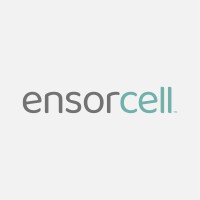 Ensorcell logo - Similar company to Analytica Usa
