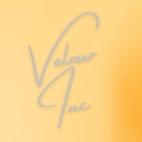 Velour Inc logo - Similar company to The Juneteenth Foundation
