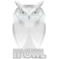 IT OWL, LLC logo - Similar company to Igloo It Consulting Services