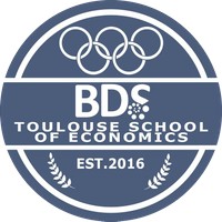 BDS-TSE logo - Similar company to Fideliz - Expert Marketing Augmenté