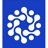 National Artificial Intelligence Organization (NAIO) logo - Similar company to Hamtech