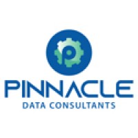 Pinnacle Data Consultants, LLC logo - Similar company to Buyfox Ecommerce