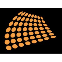 Canvas 24p logo - Similar company to Vrslt