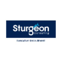 Sturgeon Consulting logo - Similar company to Sturnus, Inc.